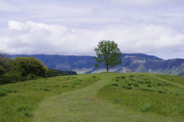 主体的に生きる