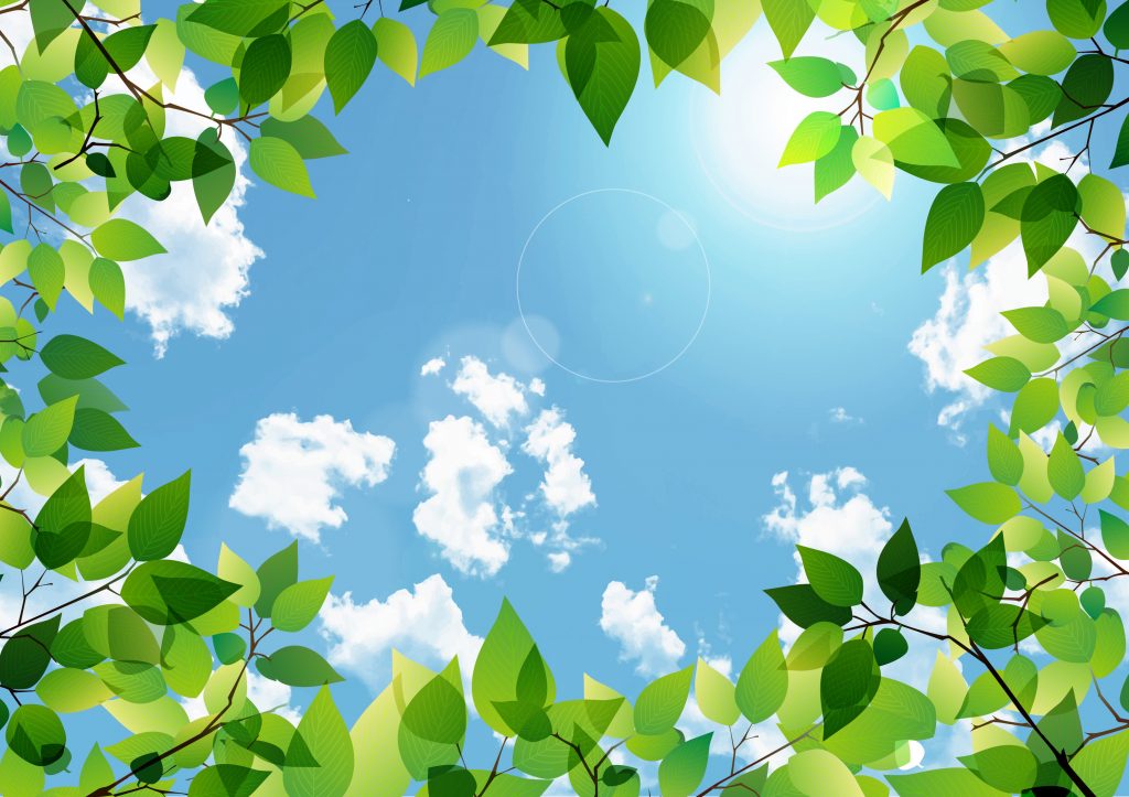 人生ヨーソロー