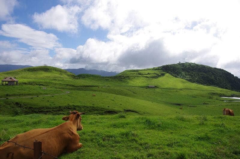 風呂敷のように