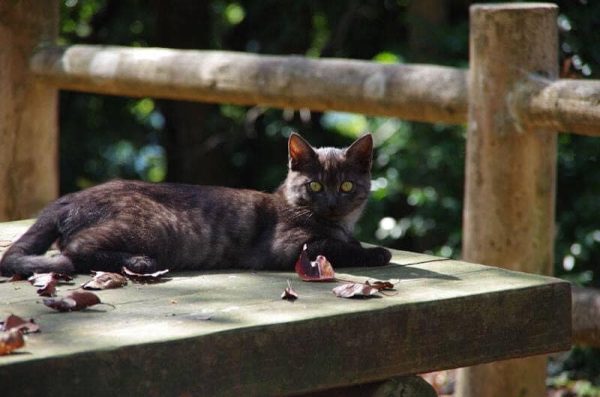 ます渕ダムにて