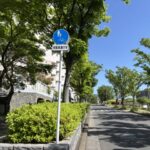 緑豊かな街路